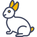easter,rabbit,bunny,easter bunny,animals,mammal,wildlife,pet